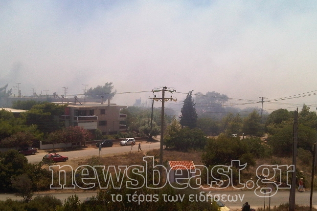 Στην παραλία τα παιδιά των κατασκηνώσεων