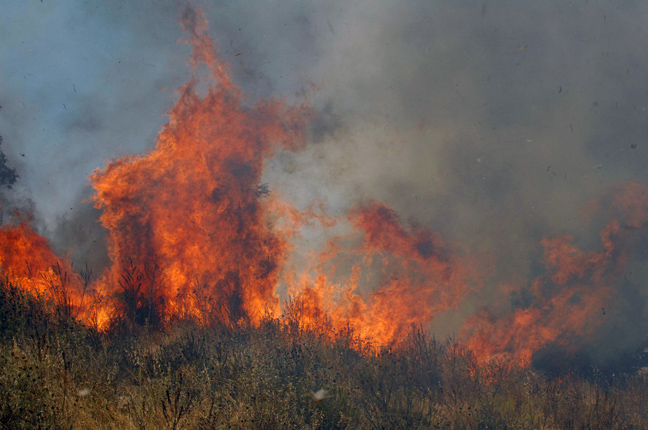 Υπό μερικό έλεγχο η φωτιά στη Βόρεια Εύβοια