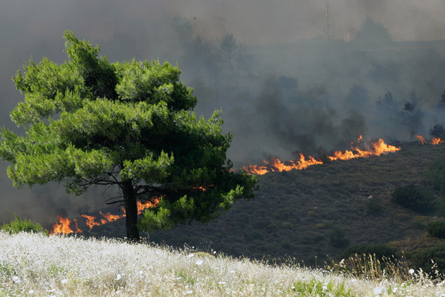 Υπό μερικό έλεγχο η πυρκαγιά στο Σχοίνο Κορινθίας