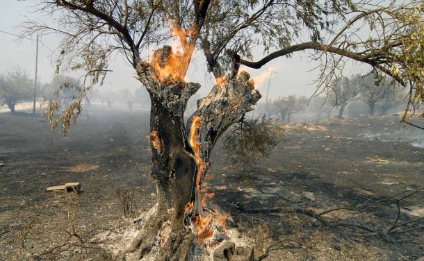 Πολύ υψηλός και σήμερα ο κίνδυνος πυρκαγιάς