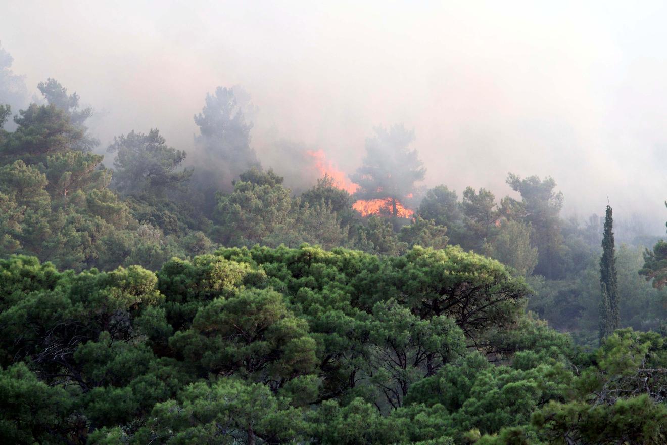 Σε εξέλιξη μεγάλη φωτιά στο Φαρακλό Λακωνίας