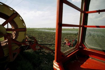 Ξεκινούν τα νέα αγροτικά προγράμματα στη Λάρισα