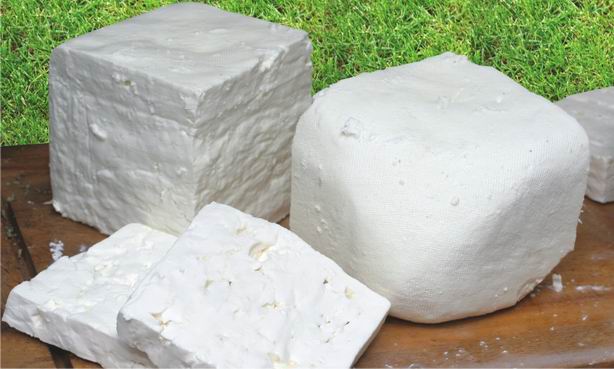 Δίπλωμα ευρεσιτεχνίας στο τυρί «τύπου φέτα»