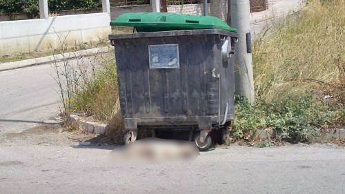 Άφησαν σκύλο να πεθάνει δεμένος με σύρμα σε κάδο…