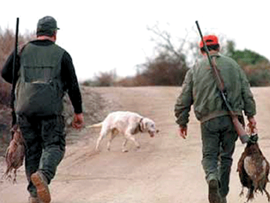 Τραυμάτισε σκύλο με κυνηγετικό όπλο