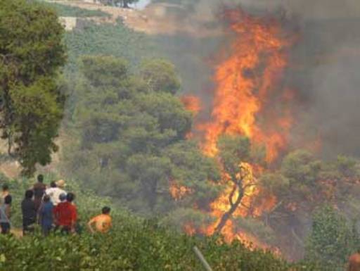 Φωτιά σε δασική έκταση στο Κορωπί