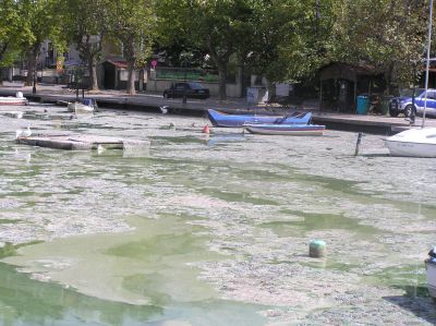 Διαμαρτύρονται για τη δυσοσμία της λίμνης