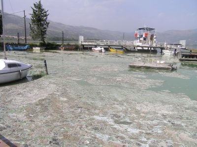 Δυσοσμία αναδύεται από τη λίμνη της Καστοριάς