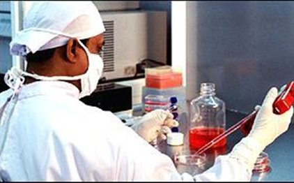 «Φρένο» στις έρευνες για τα βλαστοκύτταρα