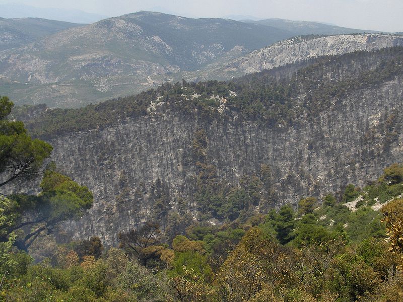 Νόμιμες οι ζώνες προστασίας της Πάρνηθας