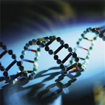 Το DNA «κουβαλάει» μνήμες της παιδικής μας ηλικίας