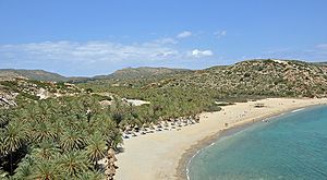 Το φοινικόδασος του Βάι… πάρκο αναψυχής