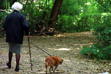 Το Μαρούσι ευαισθητοποιείται για το περιβάλλον