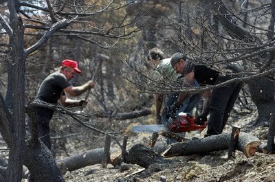 Απεργούν και οι δασεργάτες