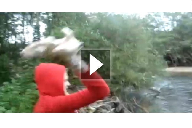 Αποτρόπαιο βίντεο με νεαρή που πετάει κουτάβια στο ποτάμι