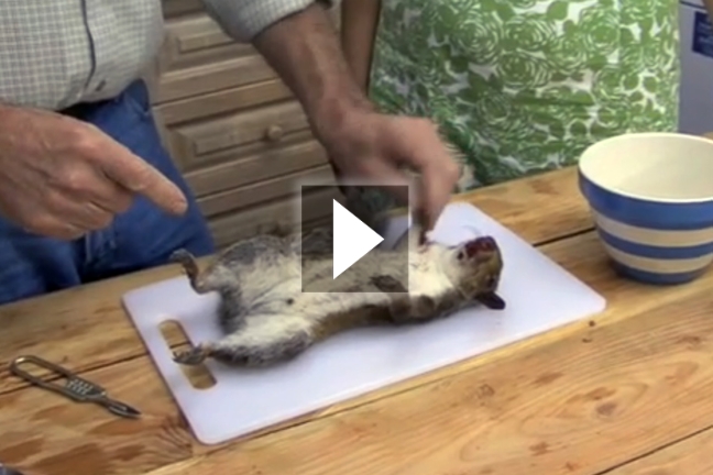 Βίντεο που σοκάρει: πώς να μαγειρέψετε ένα σκίουρο