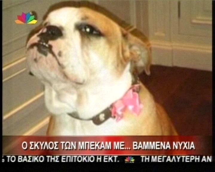 Η Κοκό Μπέκαμ