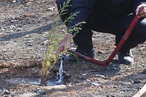 Πότισμα στο Όρος Αιγάλεω