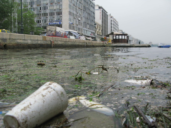 Τα κυριότερα περιβαλλοντικά προβλήματα της Θεσσαλονίκης