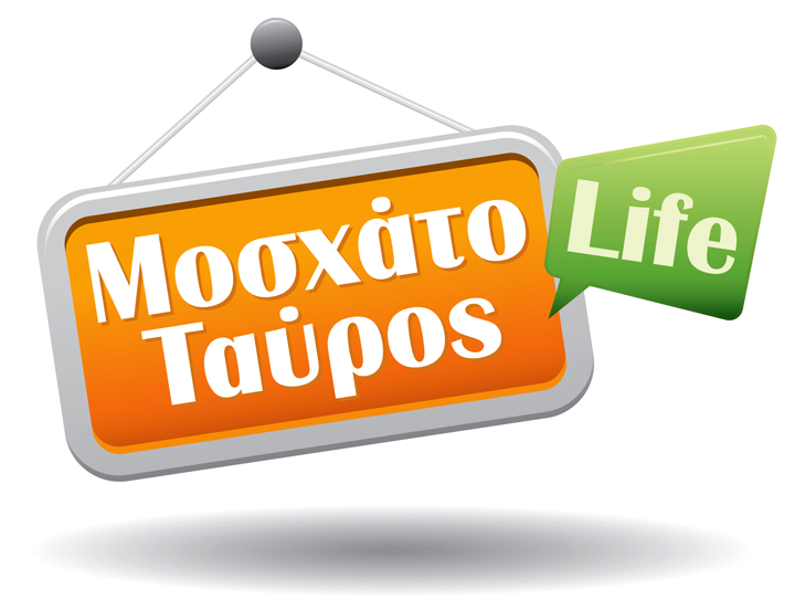 moschato-tauros-life.blogspot.com