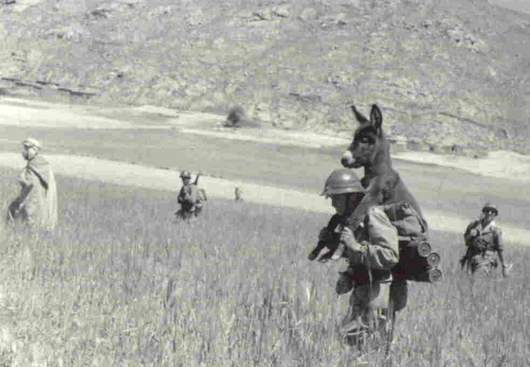 Αστείες εικόνες από τον Β&#8217; Παγκόσμιο Πόλεμο &#8211; 2o μέρος