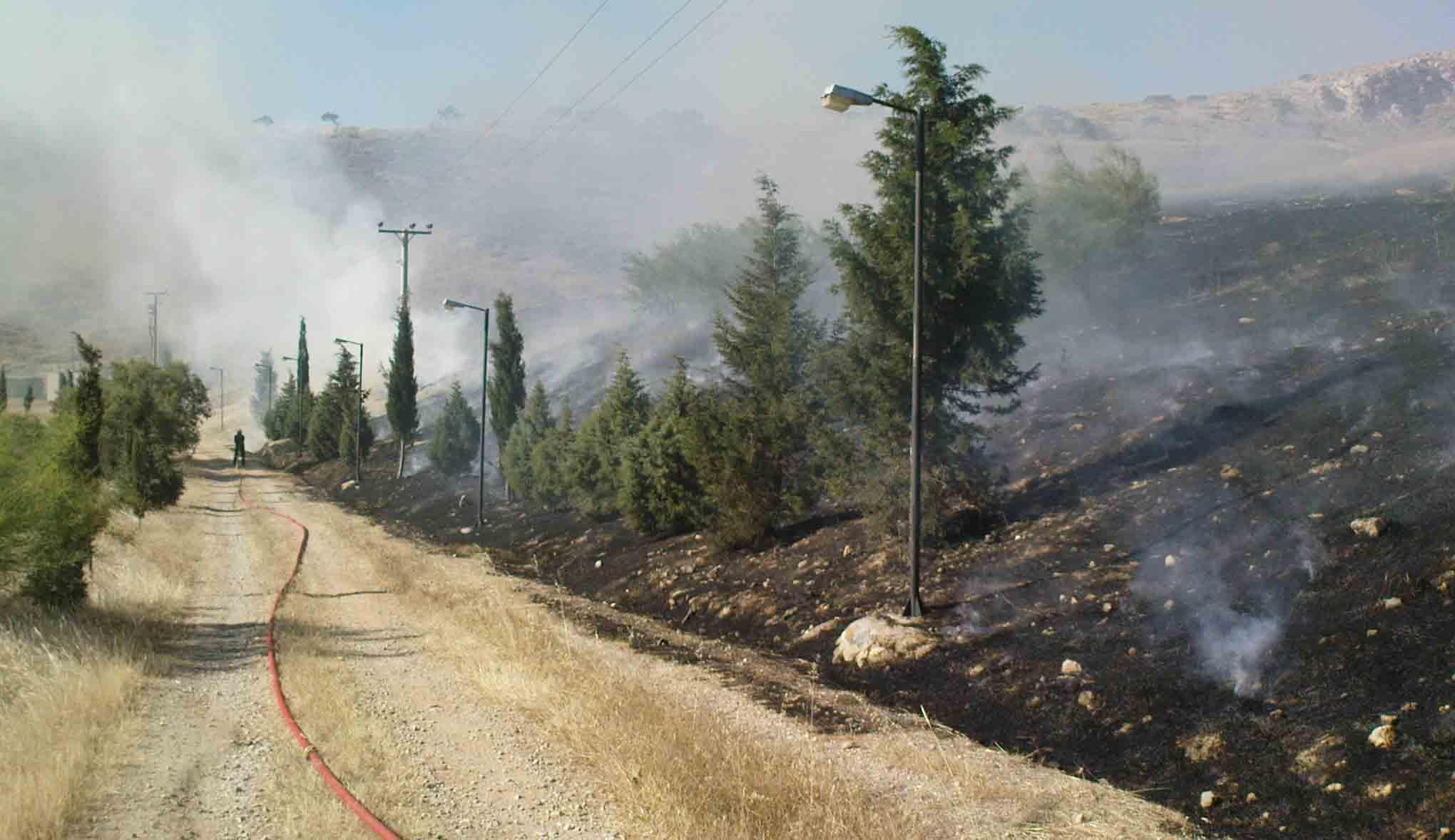 Για την σωτηρία του όρους Αιγάλεω