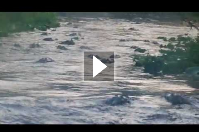 Σήμερα έχει υπερβολική κίνηση στο ποτάμι…