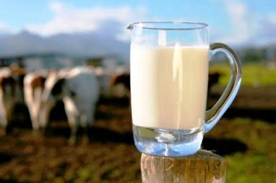 Μειώνεται διαρκώς η παραγωγή γάλακτος
