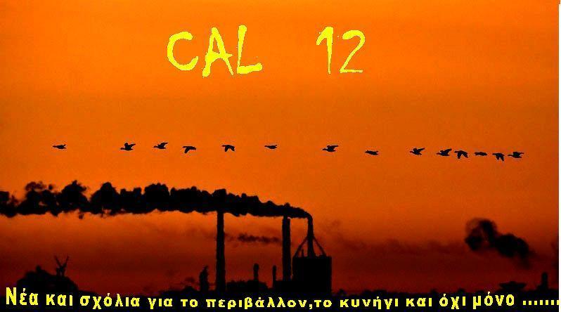 cal12news.blogspot.com