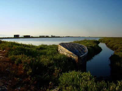 Ελικόπτερο και βάρκα στην υπηρεσία του περιβάλλοντος