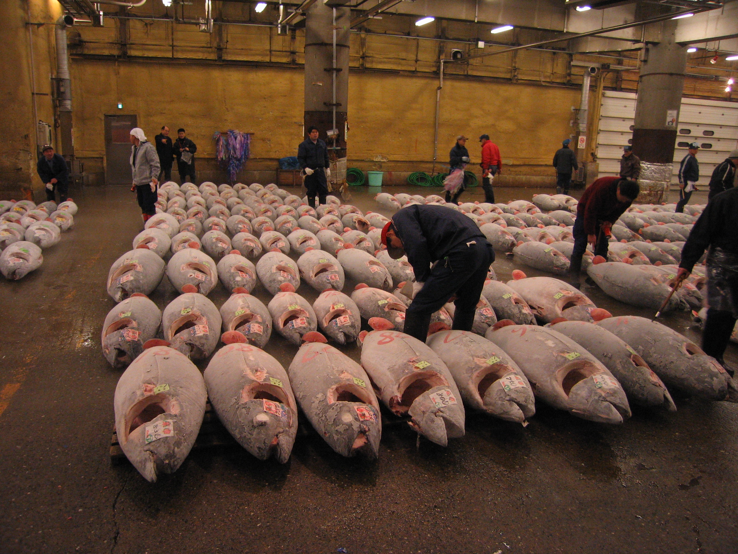 Οι περιβαλλοντολογικές οργανώσεις εναντίον υπουργού Αλιείας