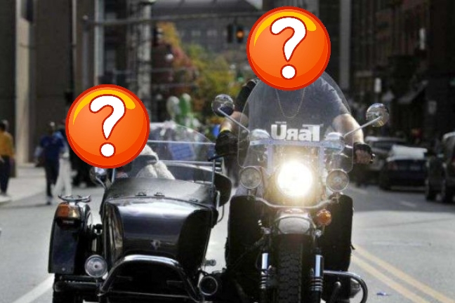Πώς ο σκληρός easy rider επηρεάζει το σκύλο του