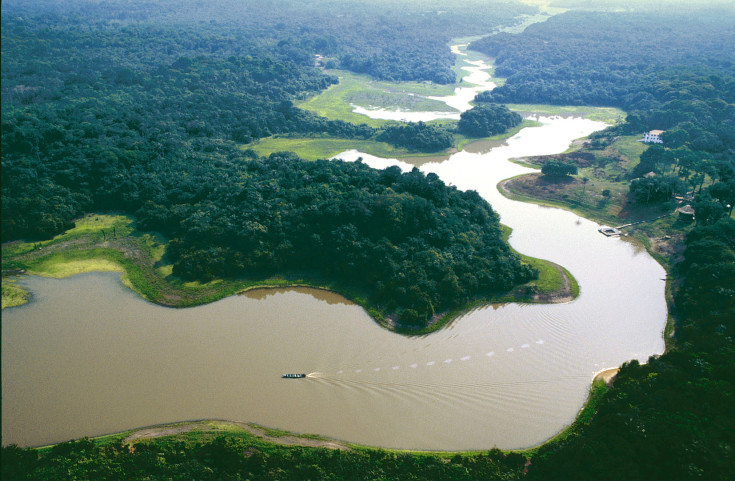Με ταχείς ρυθμούς η αποψίλωση του Αμαζονίου