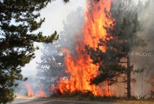 Καταστροφικές πυρκαγιές μέσα στο Νοέμβριο