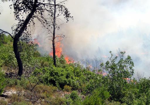 Φωτιά σε εξέλιξη στο Πικέρμι