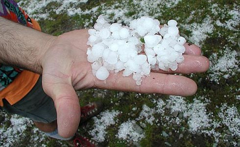 Τις πληγές τους μετρούν οι αγρότες στην Ηλεία