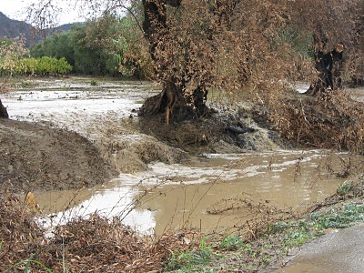Μεγάλες καταστροφές από τις πλημμύρες στη Λαμία