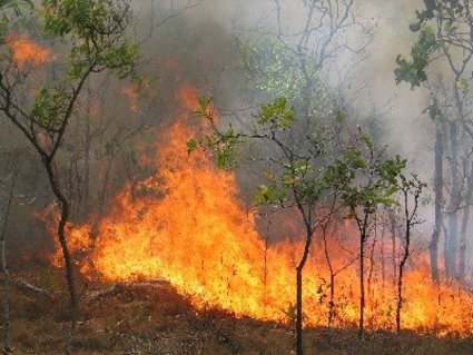 Πύρινες φλόγες απείλησαν κάμπινγκ