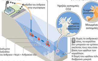 Η οξίνιση των ωκεανών απειλεί τα υδάτινα οικοσυστήματα