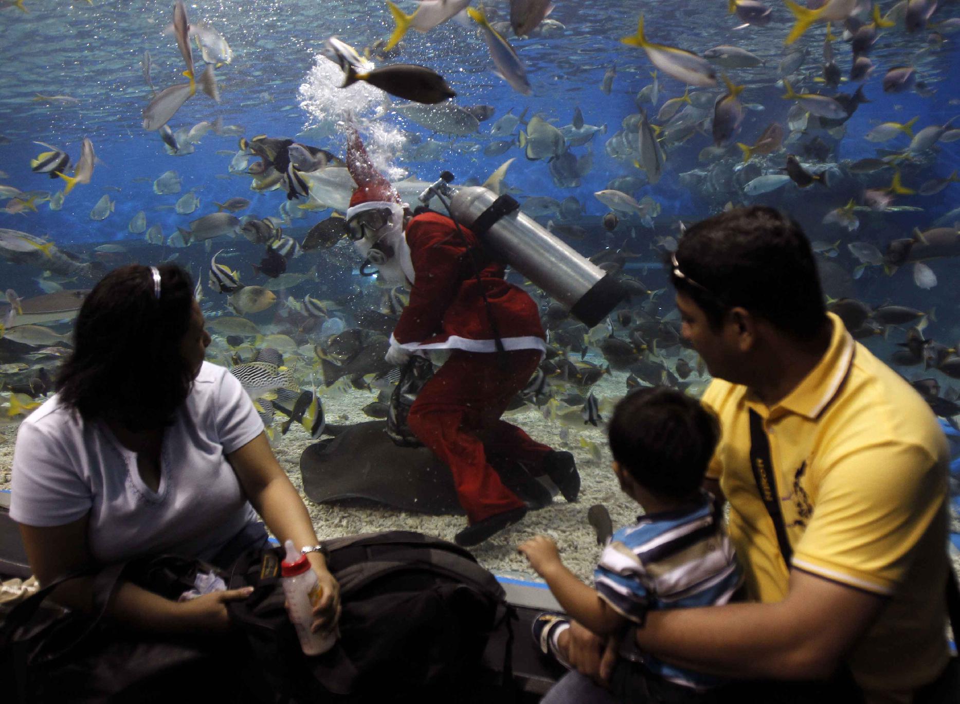 Υποβρύχιος Άγιος Βασίλης ταΐζει τα ψάρια