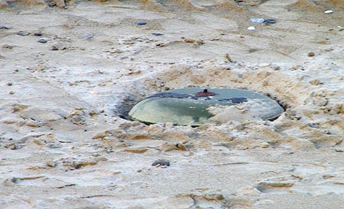 Βρέθηκε νάρκη σε παραλία του Ρεθύμνου