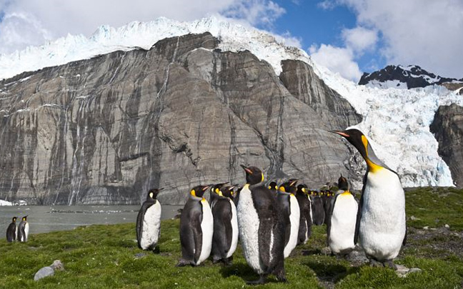 Ταξίδι στο νησί των πιγκουίνων