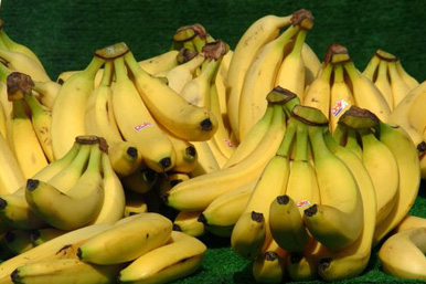 Μπανάνα: ένα ποιοτικό σνακ
