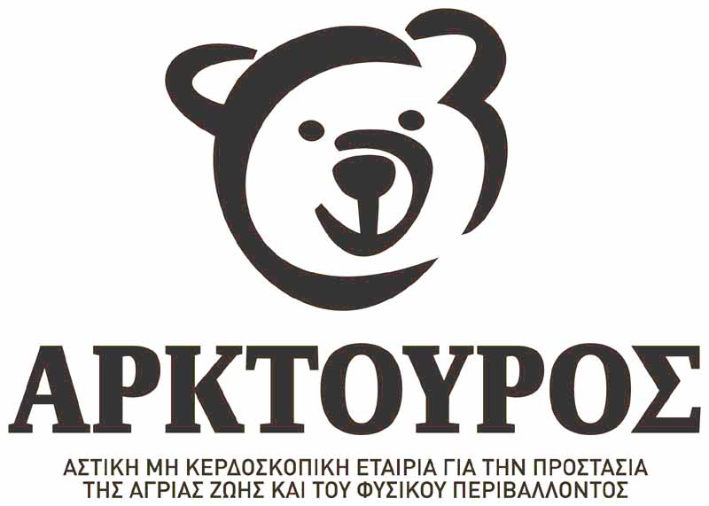 Το 2011 θα είναι… η χρονιά της αρκούδας