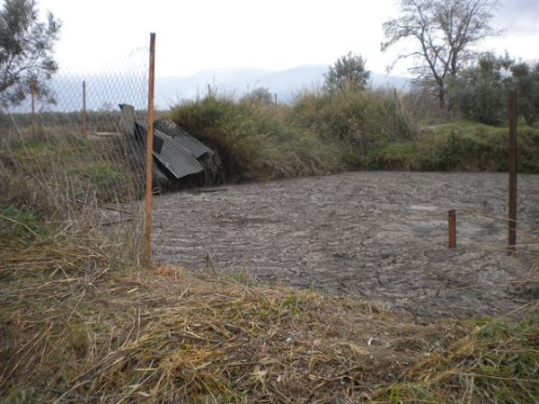 Δημιουργία φορέα διαχείρισης αποβλήτων ζητούν οι ελαιοτριβείς