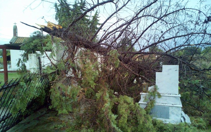 kuklwwnas2 kuklwwnas2