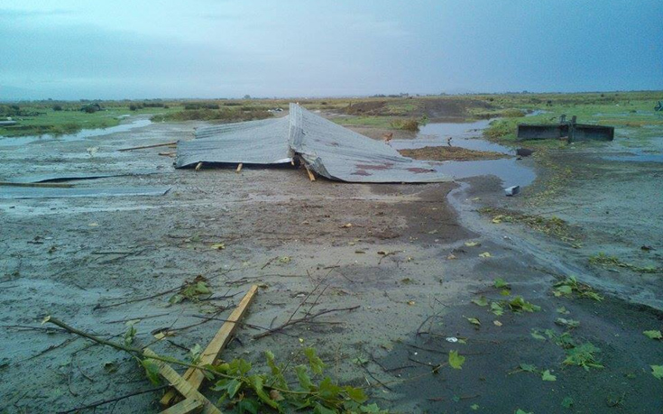 kuklwwnas3 kuklwwnas3