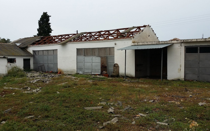 kuklwwnas6 kuklwwnas6