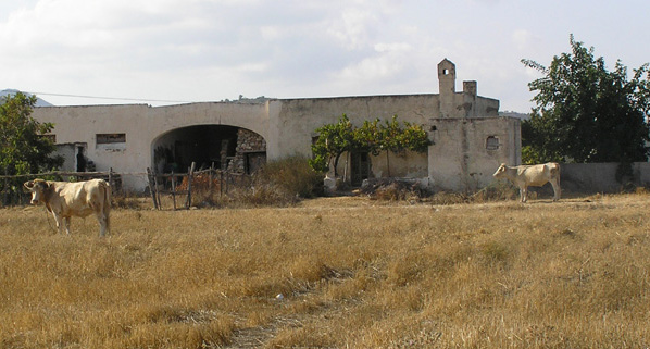 Έκρυβαν ναρκωτικά σε στάβλο