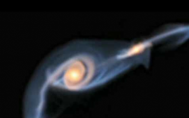 Ματιές στα μαιευτήρια των άστρων